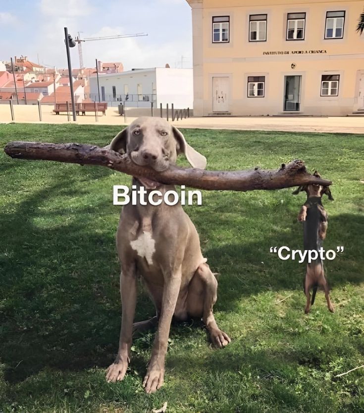 BondeEmma's tweet photo. is this true guys?
$BTC #CRYPTO https://t.co/mgf90GcEV2