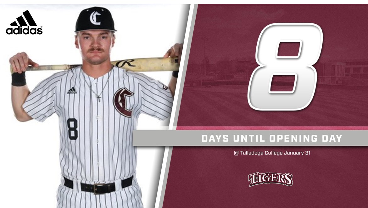 Campbellsville University Tigers Baseball tweet media