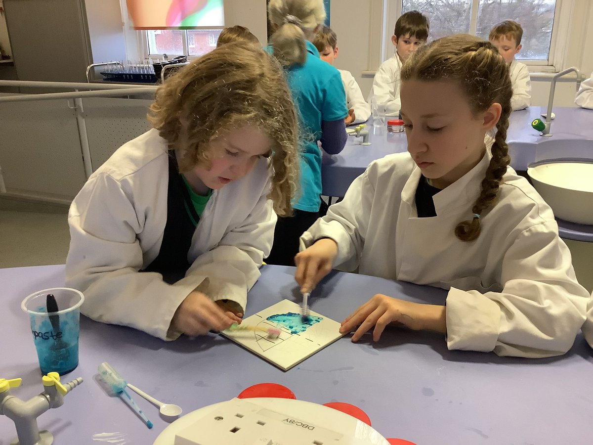 Lunt'sHeathSch tweet media