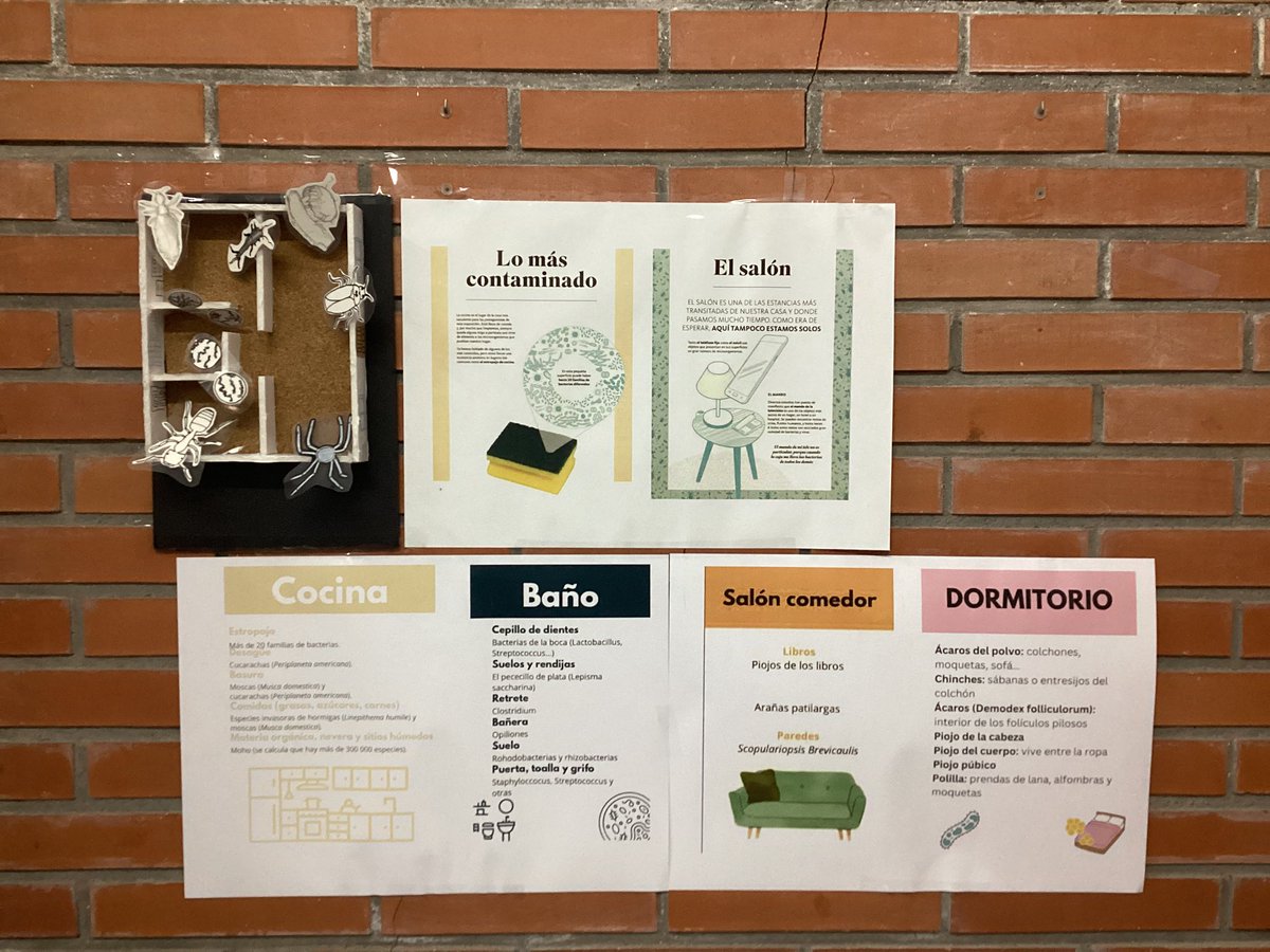 Ana Guirao tweet media