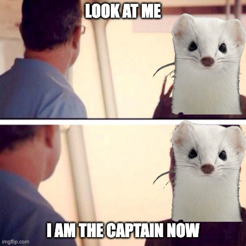 Leading the comeback of the animal meta 👀
#meme #animal #memecoin