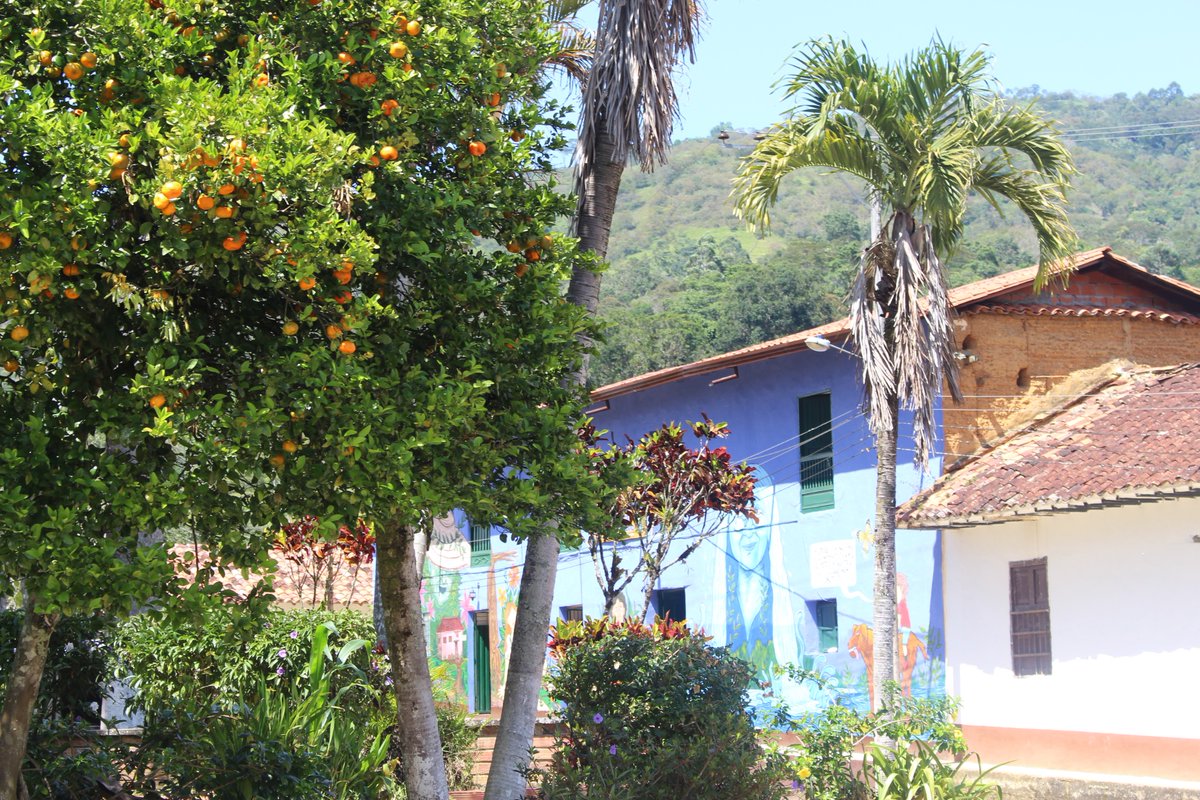 Alemania 🇩🇪ha apoyado el proceso de paz en #Colombia 🇨🇴desde hace más de una década. Estoy muy preocupada por el estallido de violencia en #Catatumbo , pero seguiremos trabajando con el gobierno y la sociedad civil de Colombia por la paz.