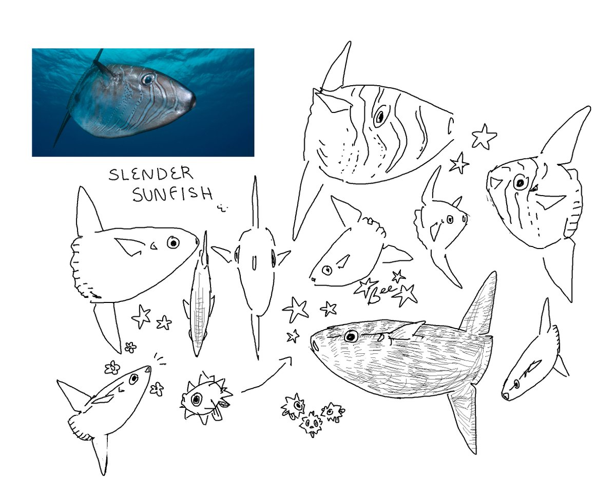 EVIL Bee🌈 PARX 11/14 tweet media