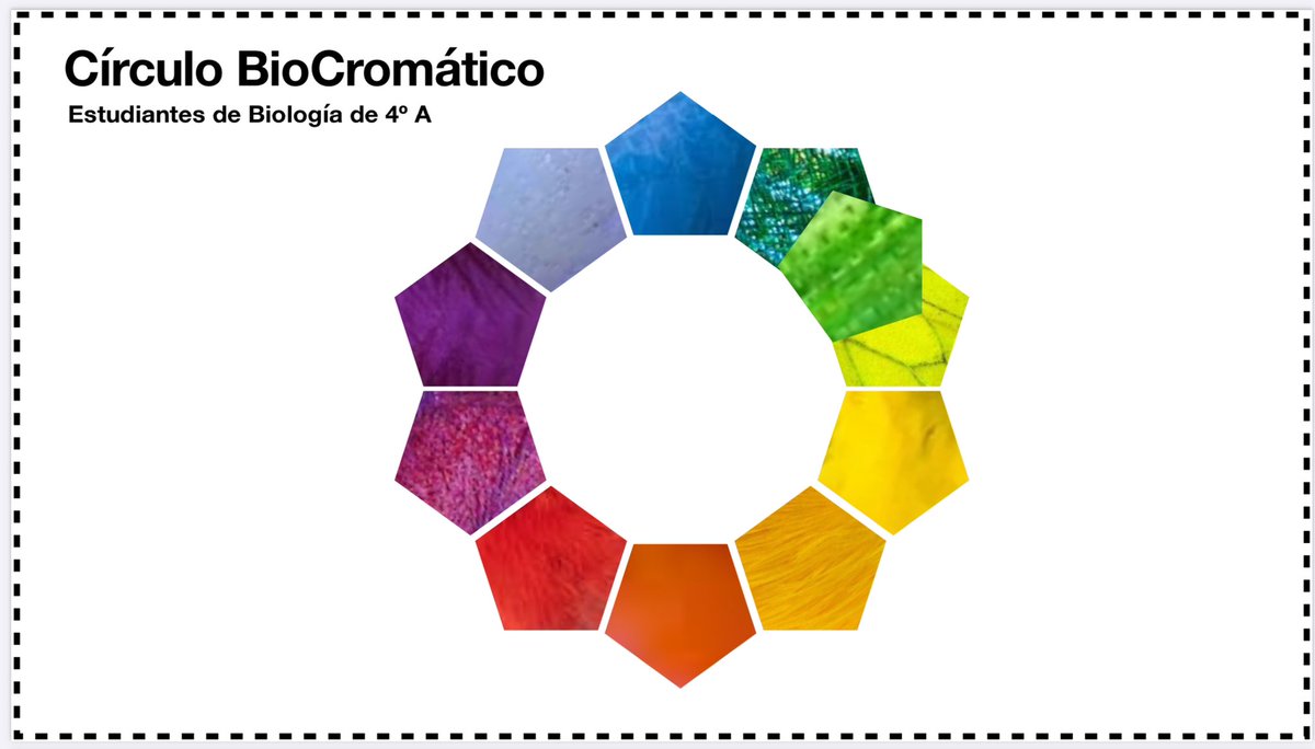 Ana Guirao tweet media