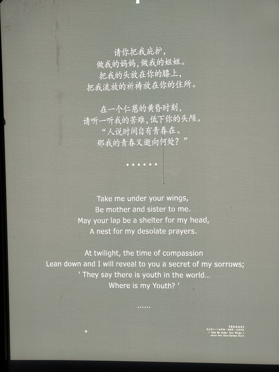 rickan2000's tweet photo. Take me under your wings
Be mother and sister to me
May your lap be a shelter for my head
A nest for my desolated prayers

I pray for peace and humanity. https://t.co/i72NdahBF7