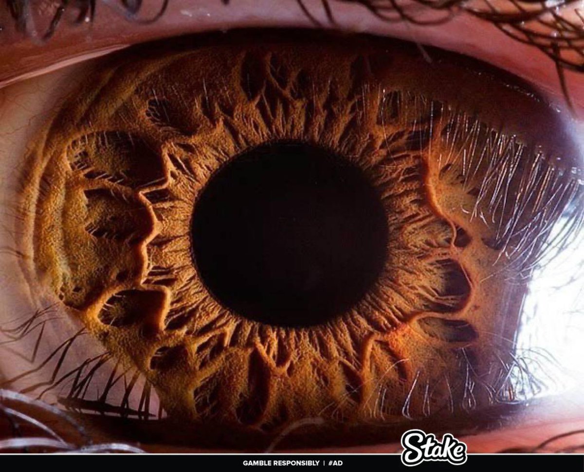 Our world under a microscope, A Thread 🤯  

1. The human eye actually resembles a black hole.