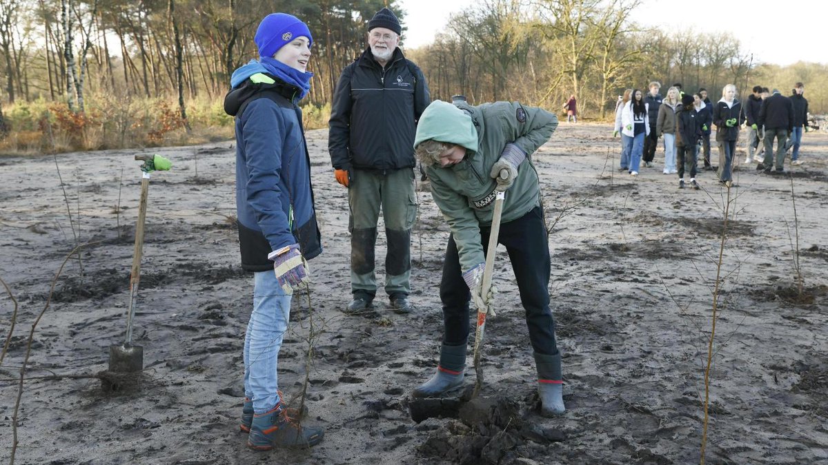 Waar ooit asfalt lag, groeit nu bos. Nieuw natuurgebied op plek van de op- en afritten van A27 bijna klaar gooieneemlander.nl/regio/gooi-en-…