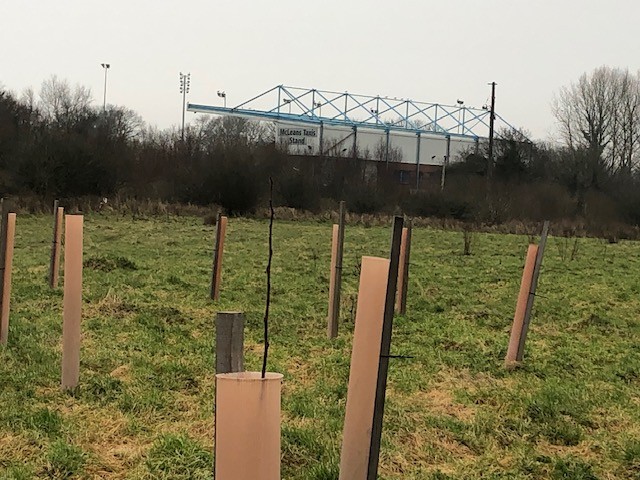 Many thanks to Kevin Pax Packer for this photo to project partners of the trees planted last year through the D&amp;G Tree Planting Grant Scheme on Stranraer's Stanctuary site - reporting 96% survival rate with lots of growth visible! #GenerationRestoration