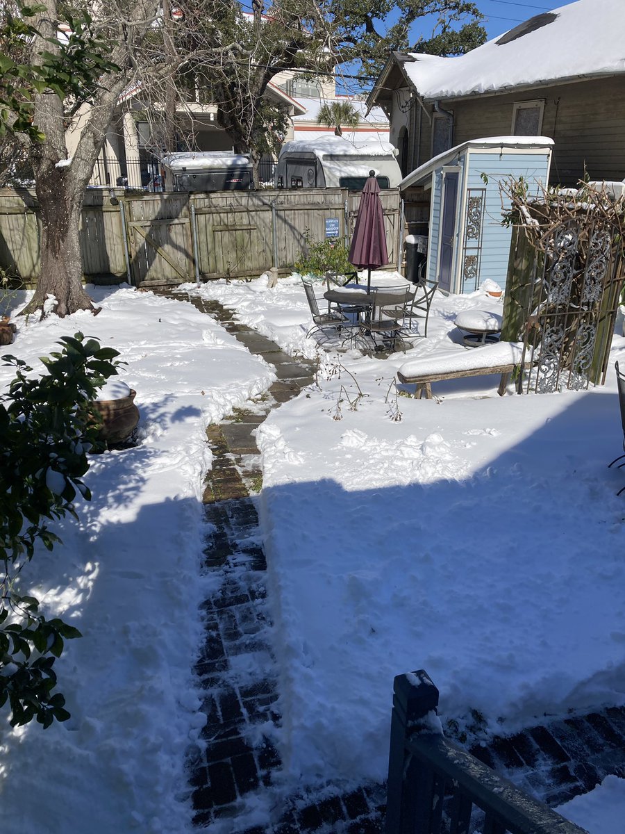 alwaysamartini's tweet photo. Still can’t believe this happened. #NolaSnow https://t.co/y53pCO1QQV