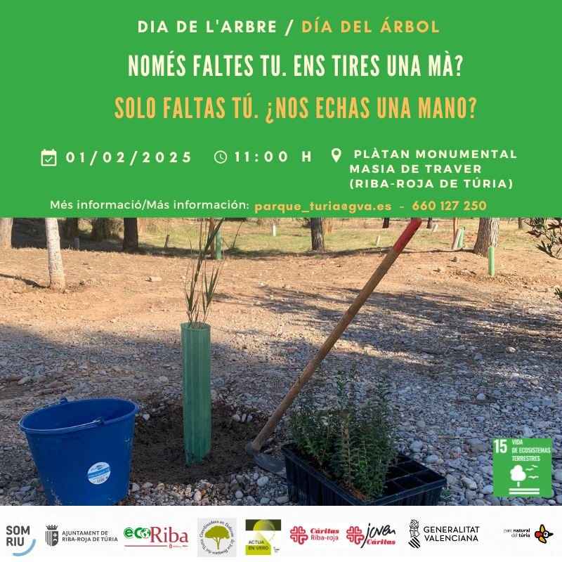 🌱 Jornada de plantación

📆Sábado 1 de febrero a las 11h
✍️Inscripciones: parque_turia@gva.es
📍Plátano monumental Masía de Traver
🌳 Duración 2-3h

Organizan: <a href="/ayto_riba_roja/">Ayto Riba-roja</a>, el Parque Natural del Turia, la Coordinadora en Defensa de los Bosques del Turia y Cáritas Riba-roja.