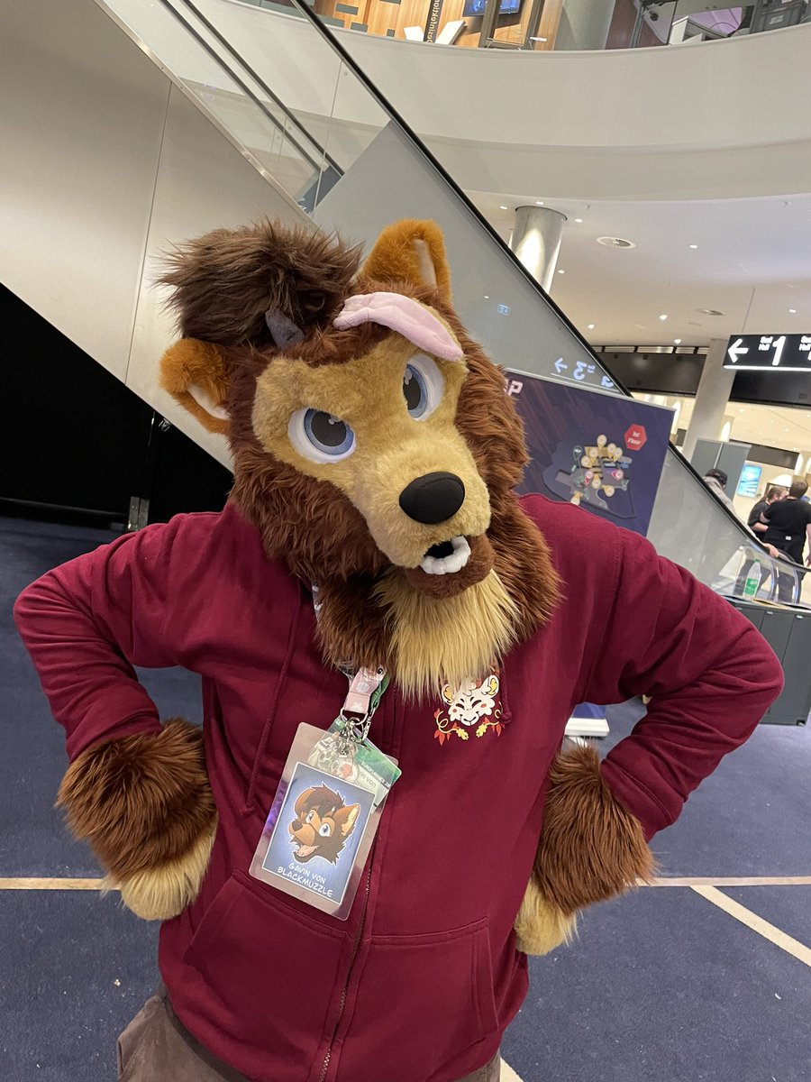 i am disappointed you are not building any concentration camps yet!?

<a href="/elonmusk/">Elon Musk</a> 

you really need to step up your game!