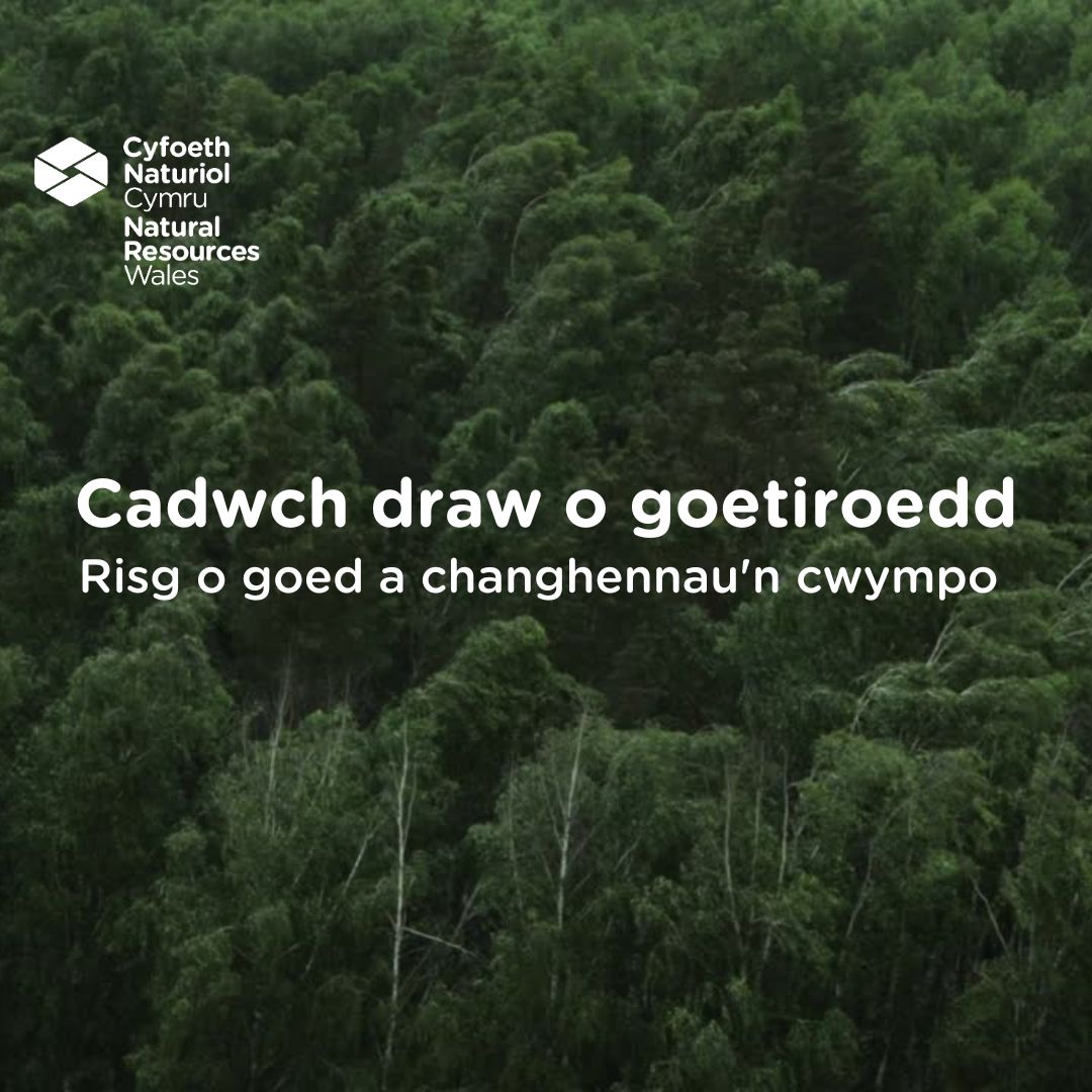 Cyf Naturiol Cymru GO | Natural Res Wales NW tweet media