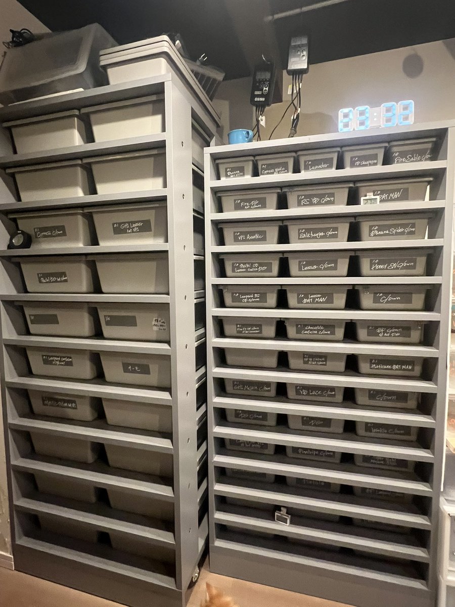 06snakeracks (@06snakeracks) / Posts / X