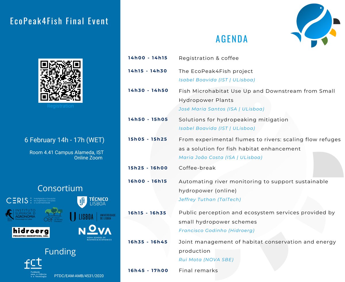 Isabel Boavida tweet media