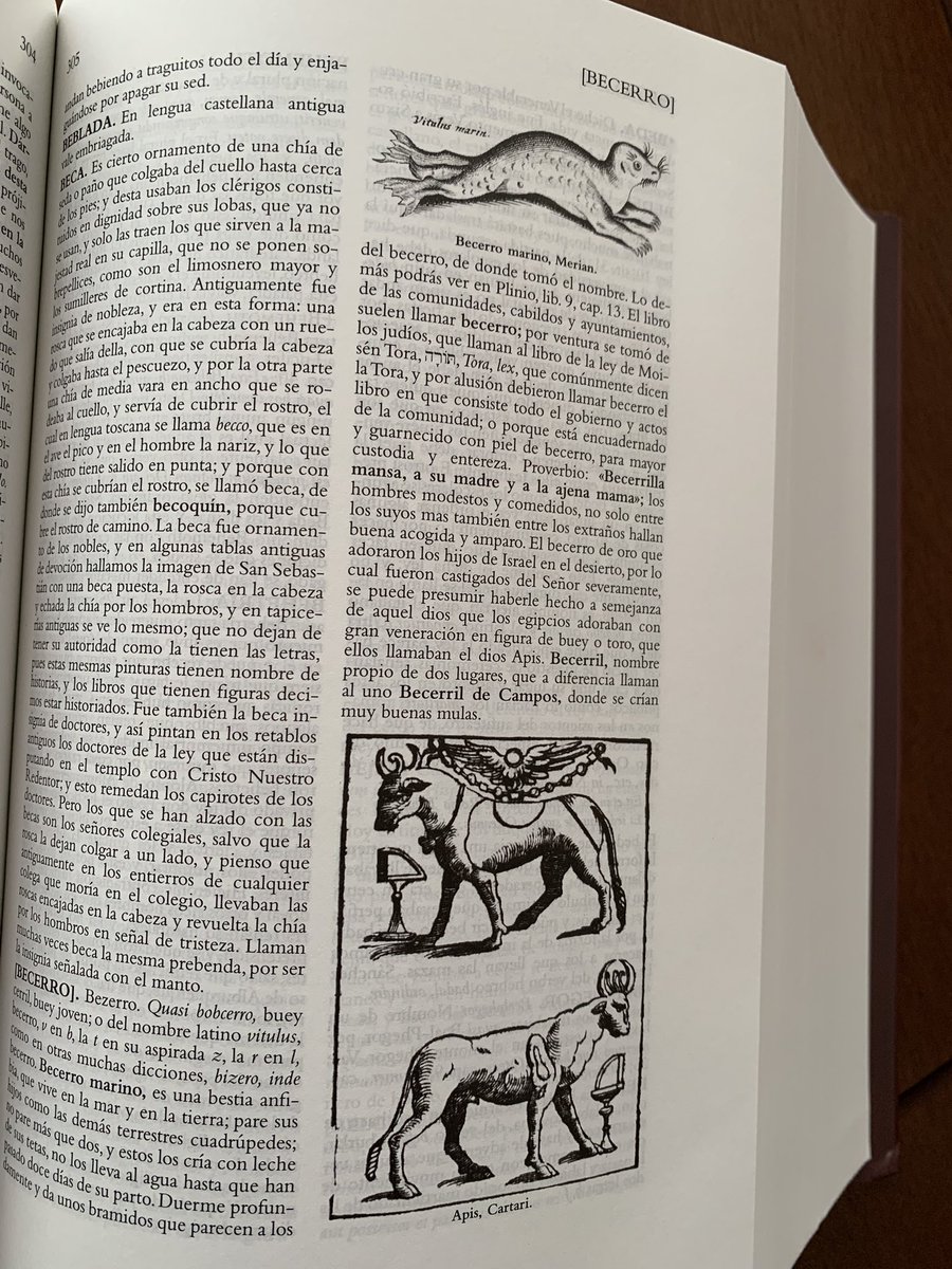 Los reyes magos tardaron un poco  pero me trajeron esta ñoñería maravillosa con definiciones de mis siglos más favoritos, como esta de “becerro marino”