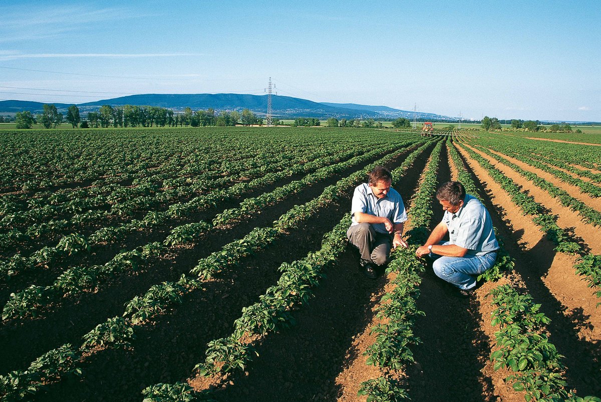 .<a href="/Bayer/">Bayer AG</a> announced a new exclusive distribution agreement with Ecospray to market a biological liquid nematicide sourced from garlic. The product presents a biological alternative to traditional synthetic chemical nematicides in vegetable and potato crops: shorturl.at/MDo6E