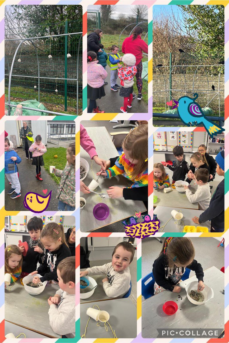 Seomra Bán have been busy keeping our little birds fed in the recent cold weather by each making their own bird feeder using different oats, seeds and nuts. We hung our bird feeders in the school garden. We may just have to make some more next week as the birds have been big fans