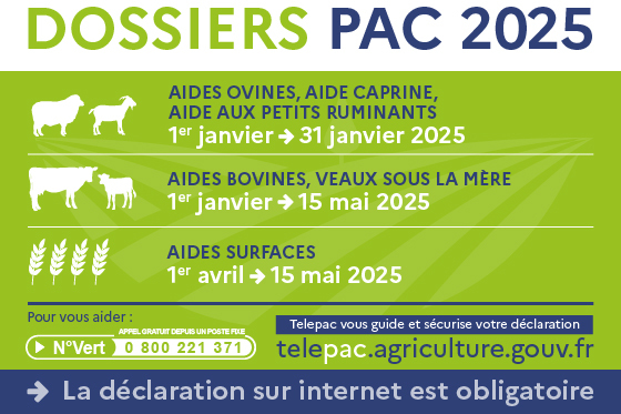 Agri_Gouv's tweet photo. #Telepac | La procédure de télédéclaration 2025 pour les aides animales est ouverte depuis le 1er janvier 2025.

➕ Retrouvez tous les détails ici : https://t.co/wGl4DMysKN https://t.co/108DphL40J