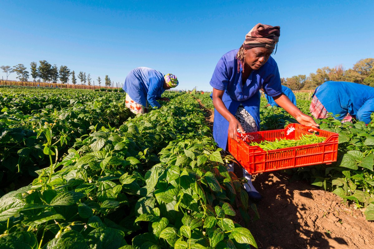 .<a href="/Bayer/">Bayer AG</a> and Pula Foundation partner to insure 10 million smallholder farmers in Sub-Saharan Africa and South Asia shorturl.at/VMUdQ