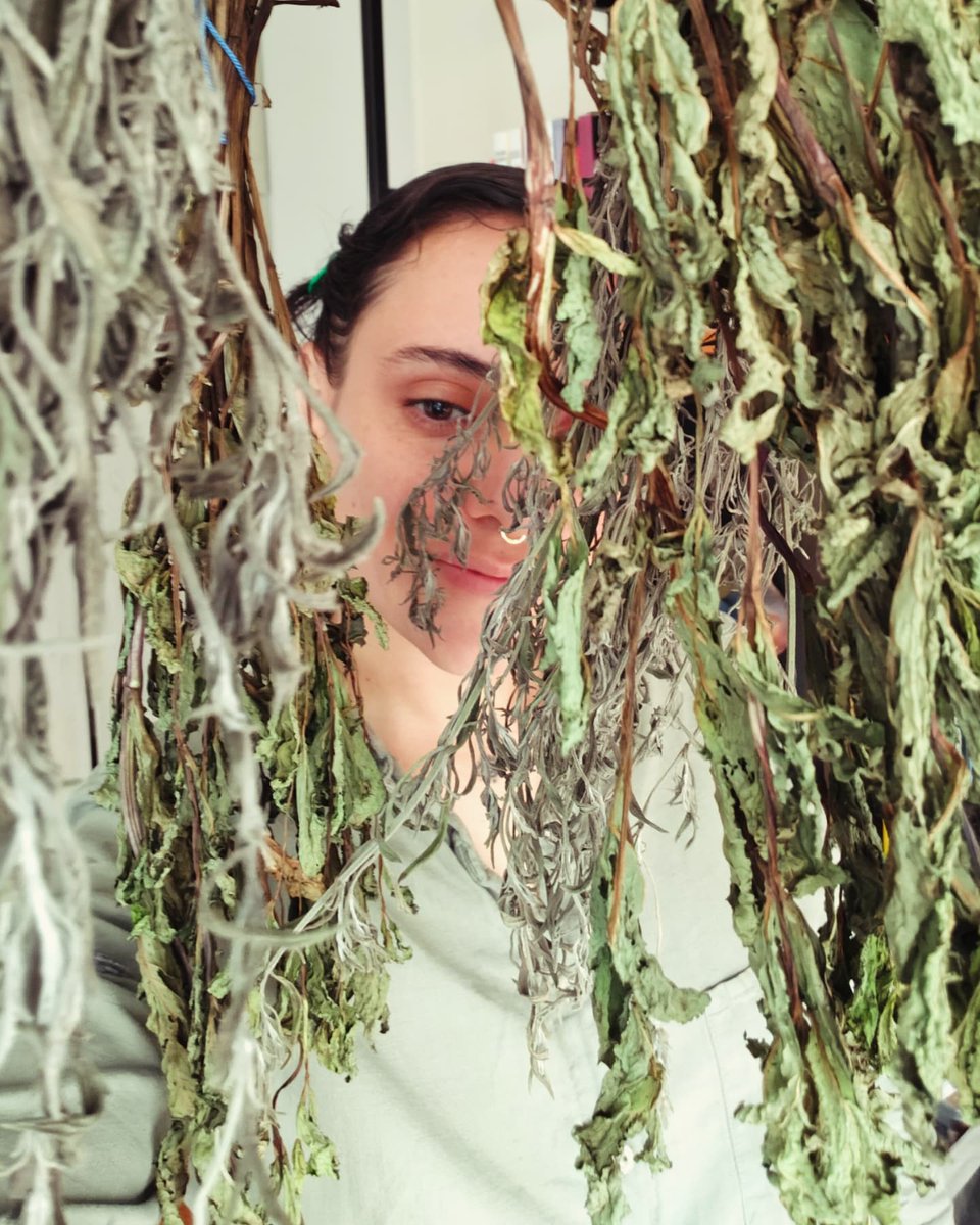 otramedea's tweet photo. Satisfacción total de emprender nuevamente 🧭🌿 https://t.co/8TmqMUnVV2