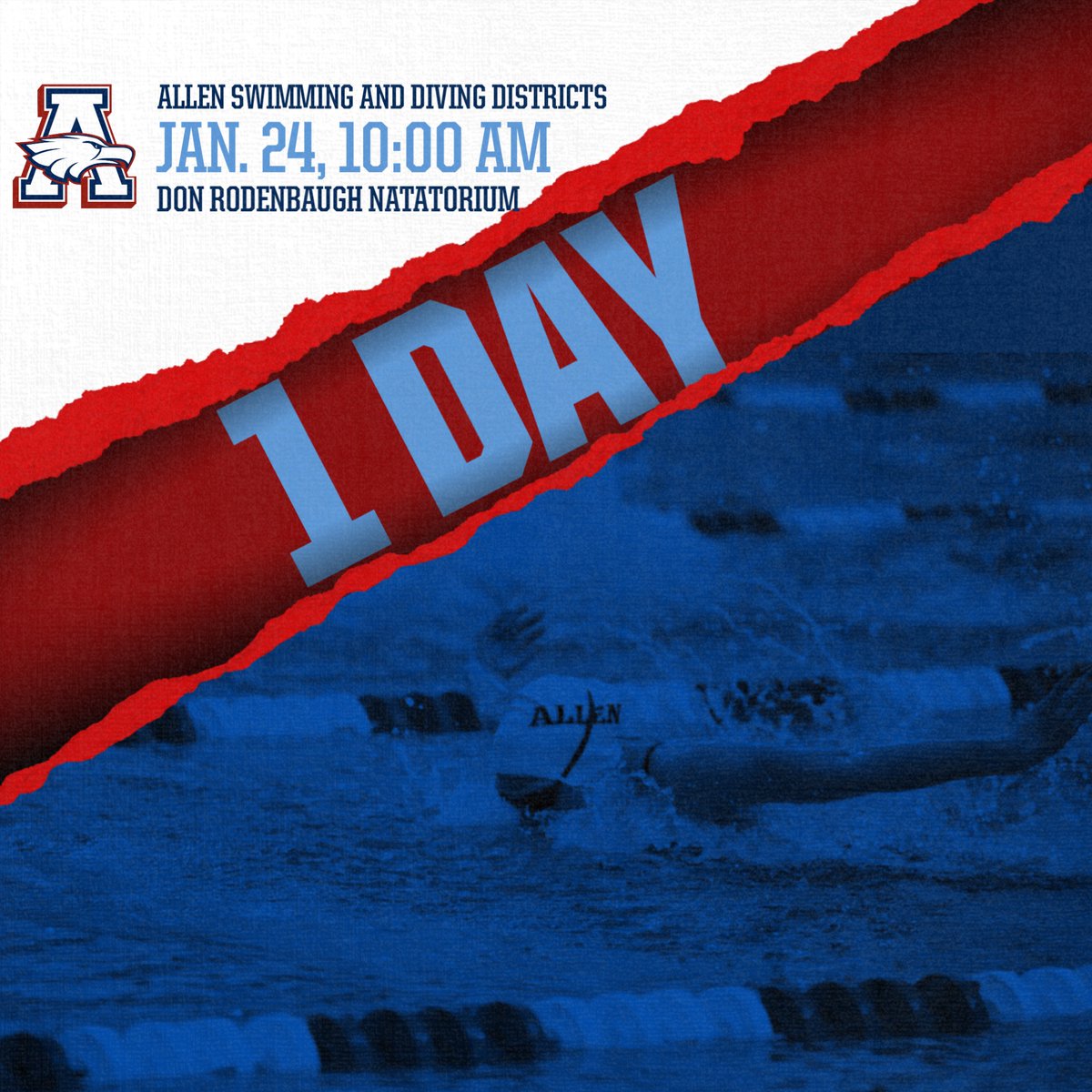 AHS Swim/Dive (@ahsswimdive) on Twitter photo 