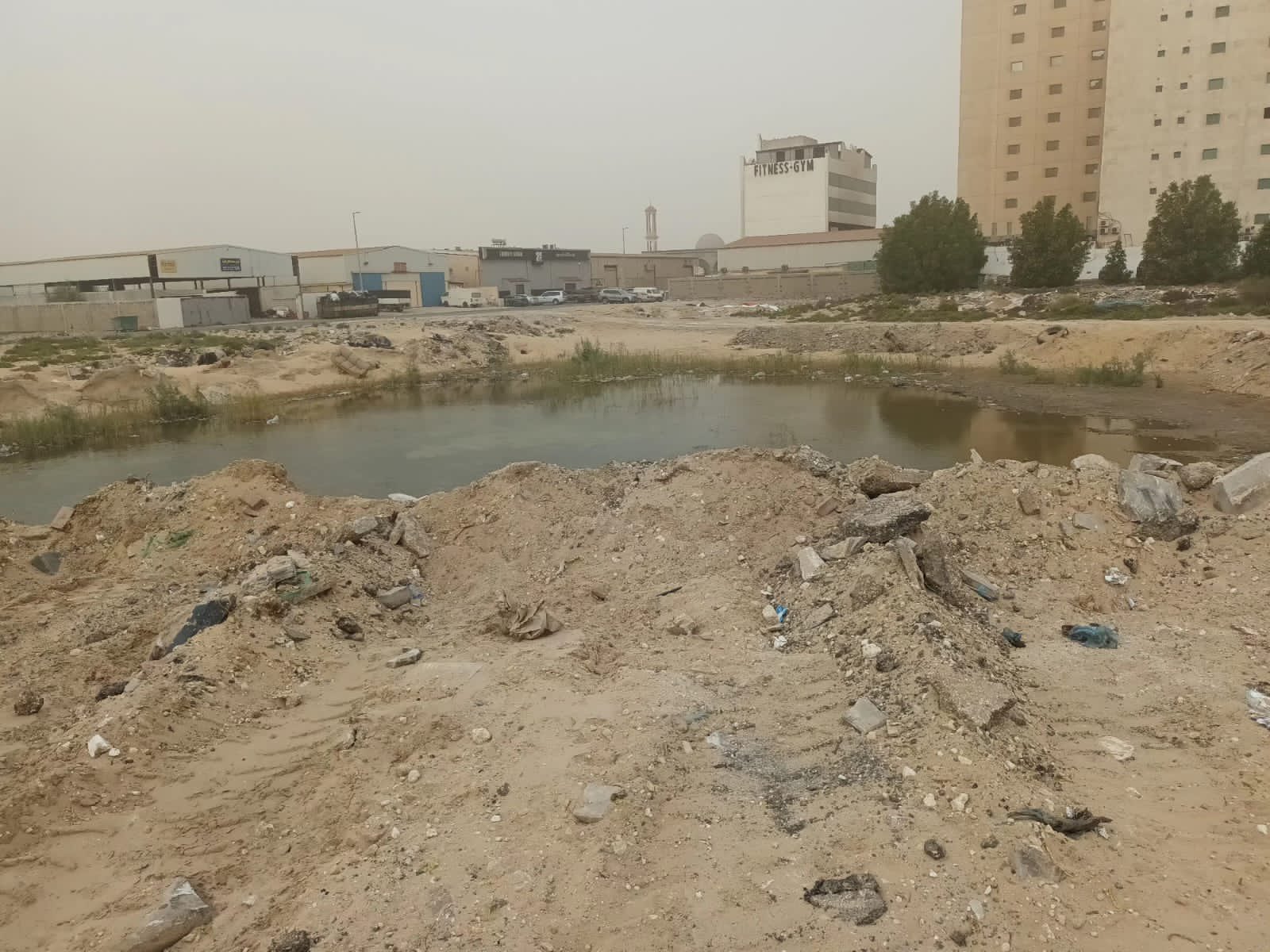 الصورة