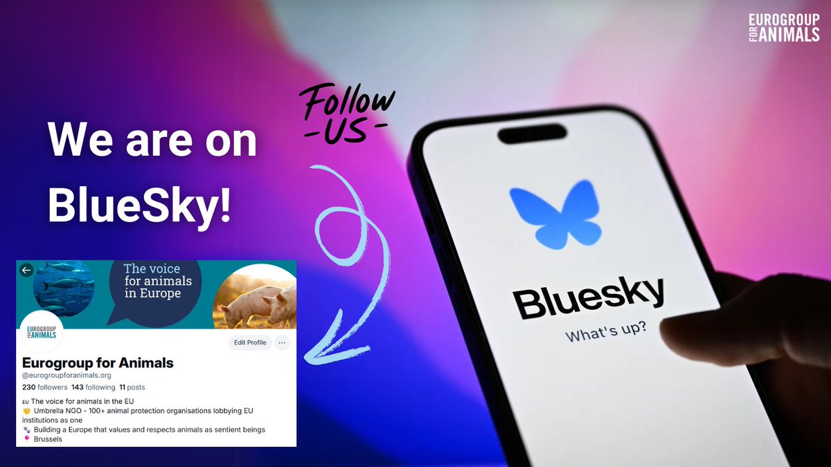 Eurogroup For Animals tweet media