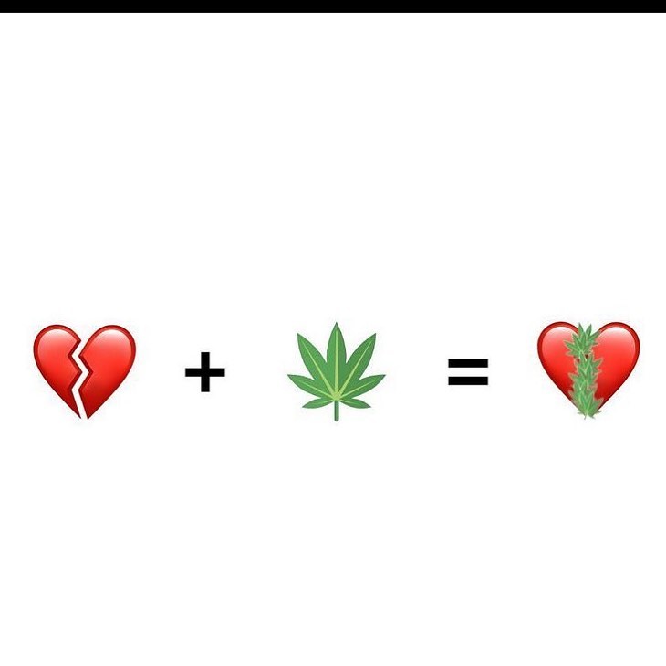 não existe coração partido pra quem tem a plantinha ❤️