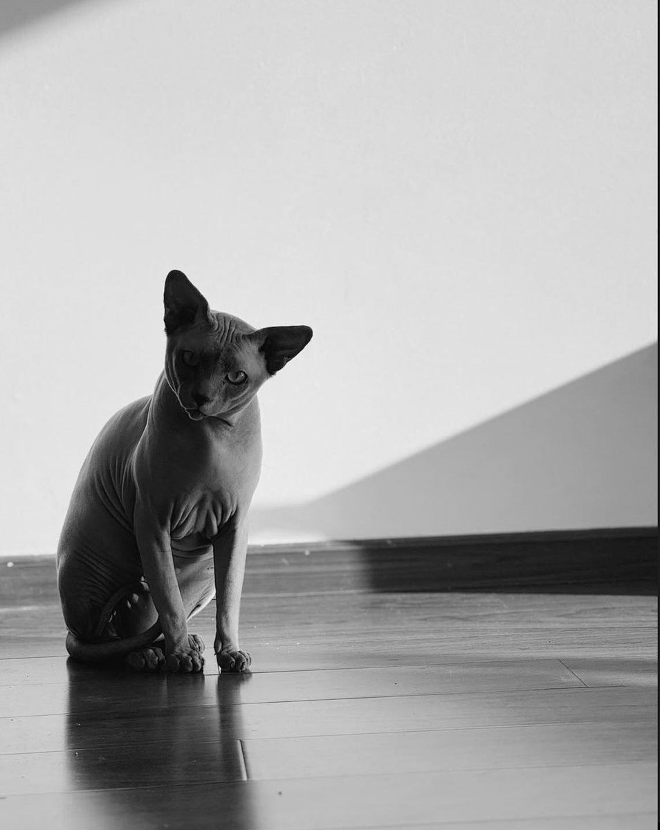 🎥I Emilio vía feed de instagram
 
<a href="/halcon_emilio/">Emilio</a> 
#Emilio 
🩺