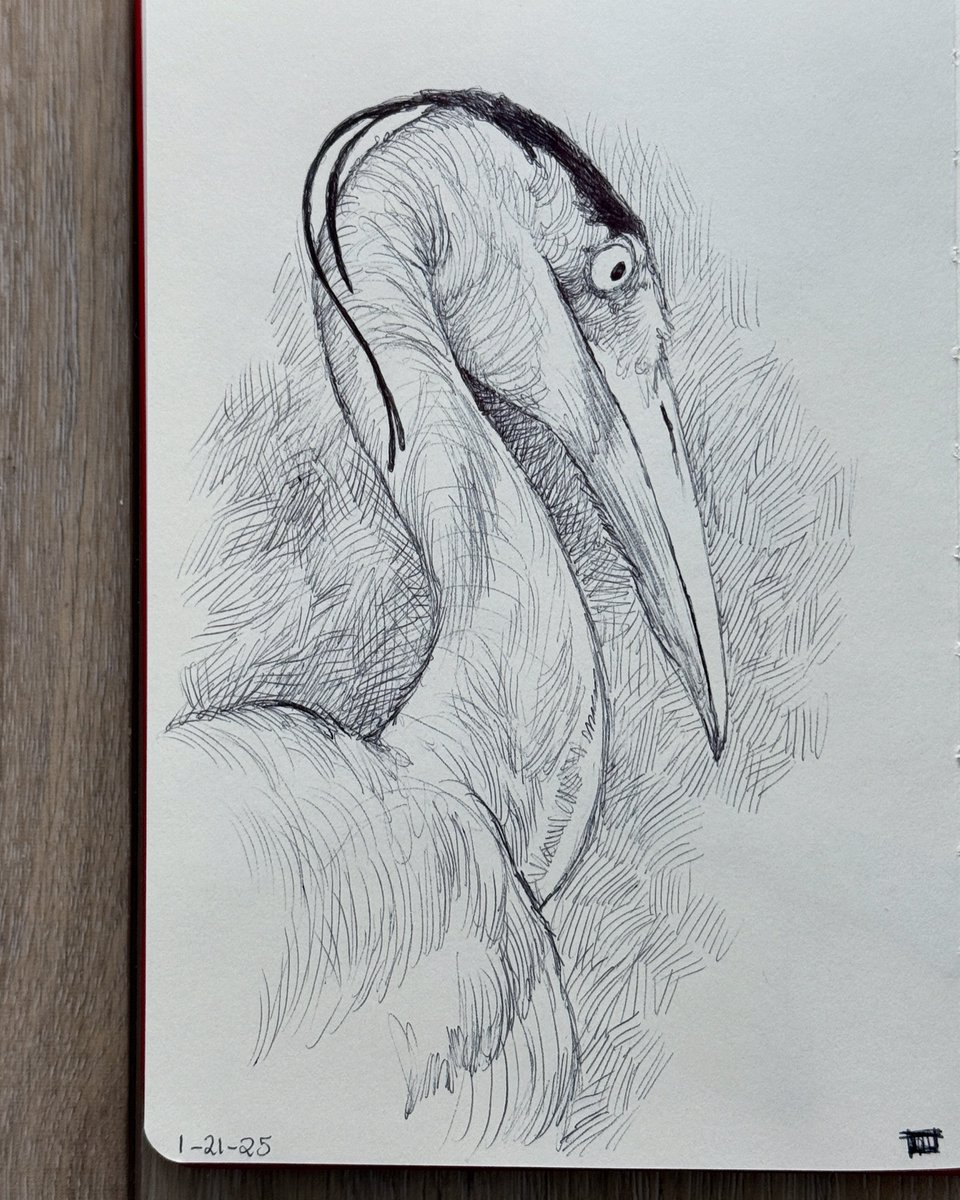 Dave Mottram tweet media