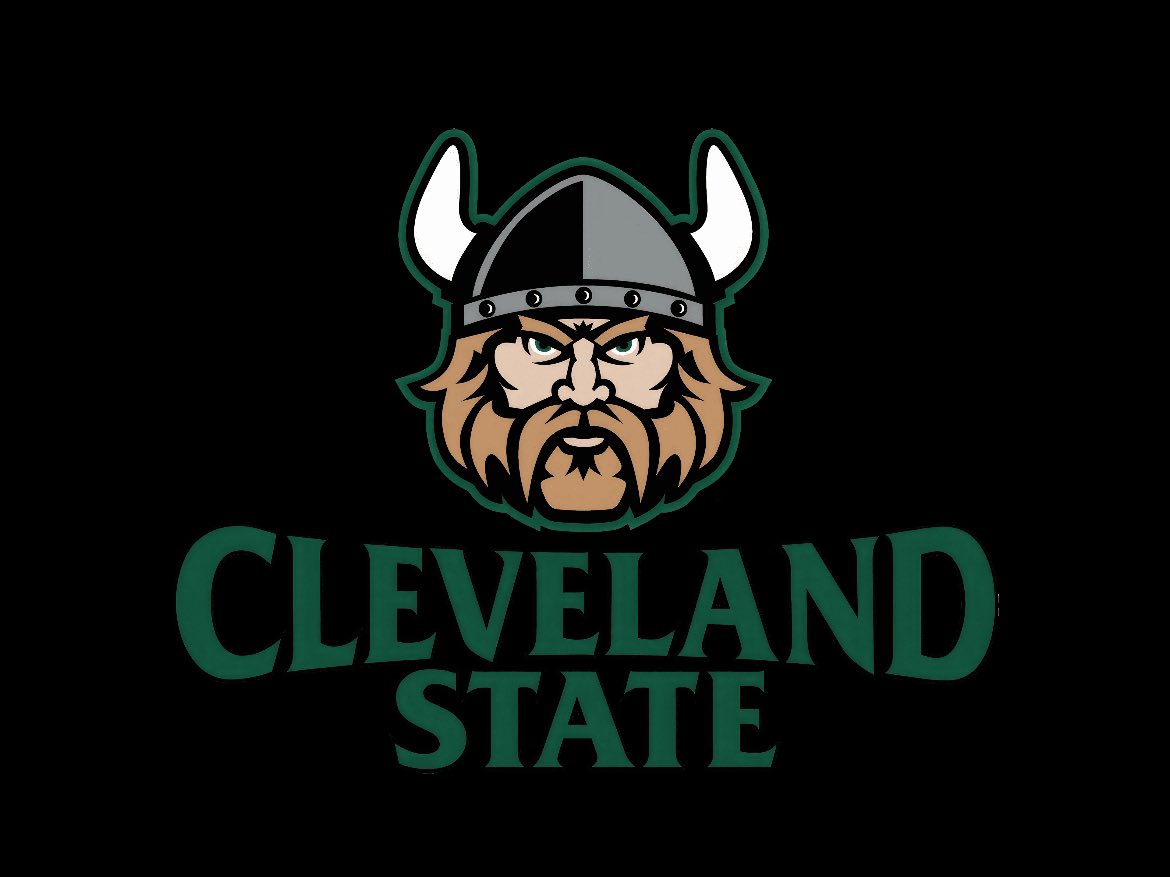 Blessed to receive a D1 offer from <a href="/CSUVikingsLax/">CSU Lacrosse</a> Thank you coach <a href="/TheKingVike/">Andy German</a> for the offer!!