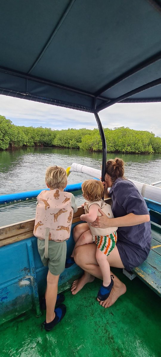 hanbali05's tweet photo. Mangrove tour 
bali national park
https://t.co/pHViq4Sjw3 https://t.co/7twHjp9ezu