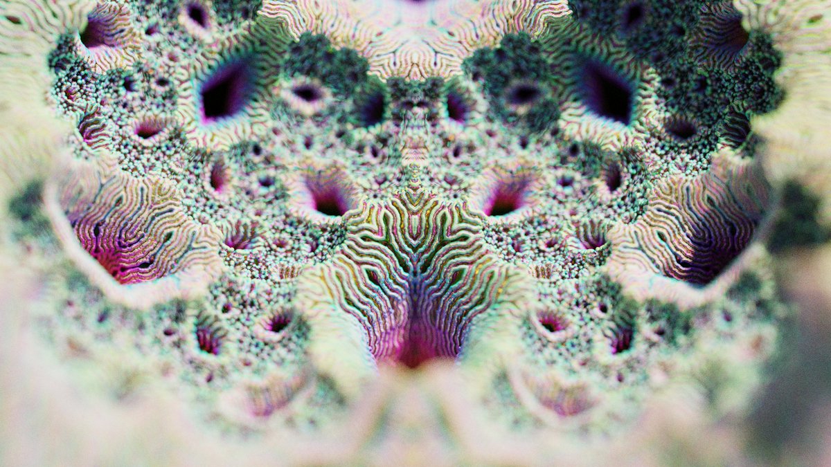 Thomas Hooper tweet media