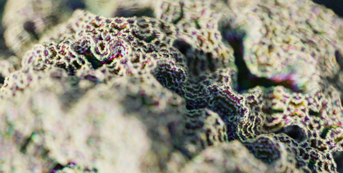 Thomas Hooper tweet media