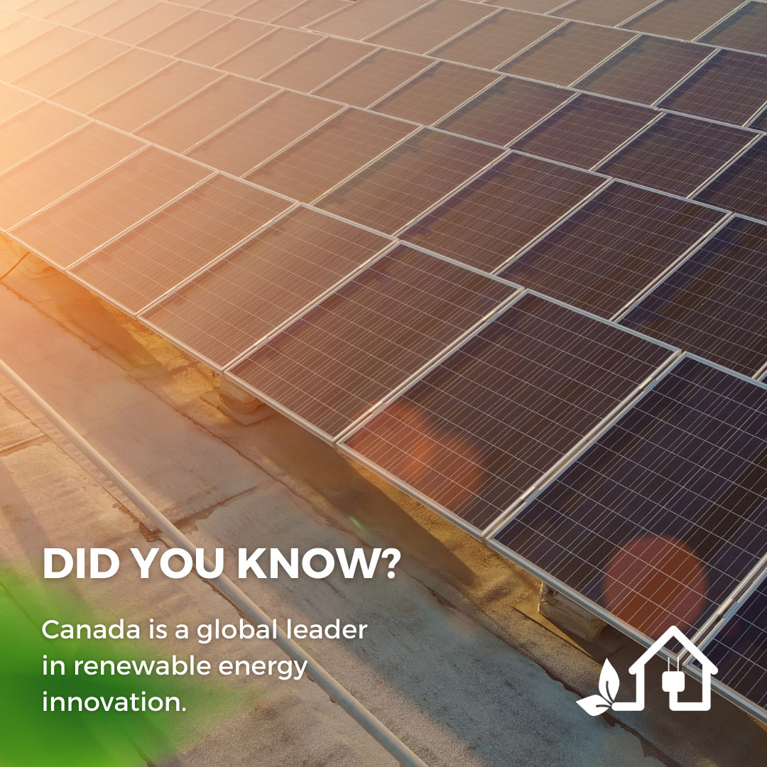 YourCleanEnergy's tweet photo. 🍁 Canada is a global leader in renewable energy innovation.  

☀️ Our expertise in solar and wind energy contributes to this legacy, as we leverage this innovation to provide top-tier solutions! 

#CanadianInnovation #RenewableEnergy #SolarTechnology #WindTechnology https://t.co/NhNOxY8aIA