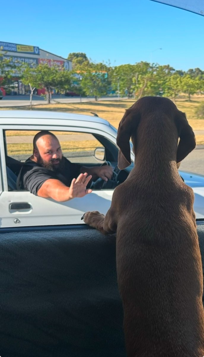 Shea and Tesla the doggo tweet media