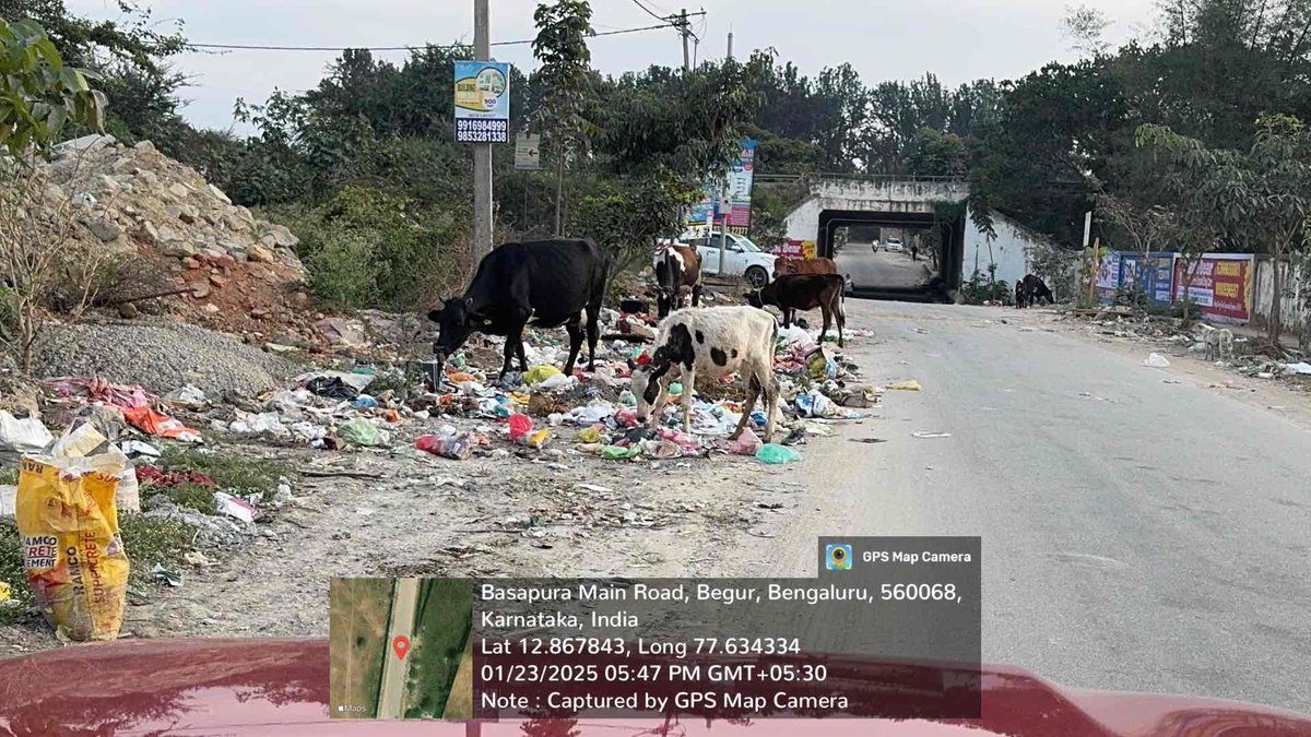 paramkour's tweet image. Why has #Bengaluru become open dump yard. Electronic city and Begur area is openly littered with heaps of garbage.  @kiranshaw , @Infosys_nmurthy