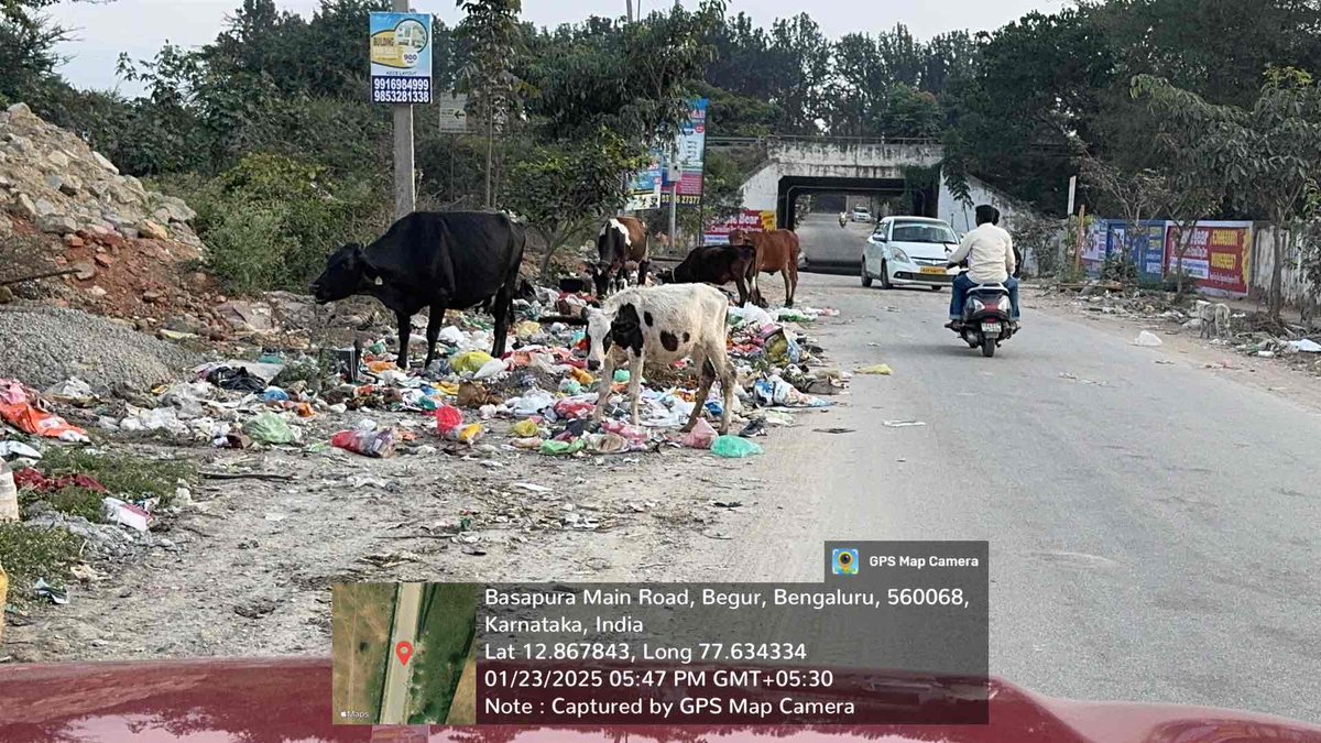 paramkour's tweet image. Why has #Bengaluru become open dump yard. Electronic city and Begur area is openly littered with heaps of garbage.  @kiranshaw , @Infosys_nmurthy