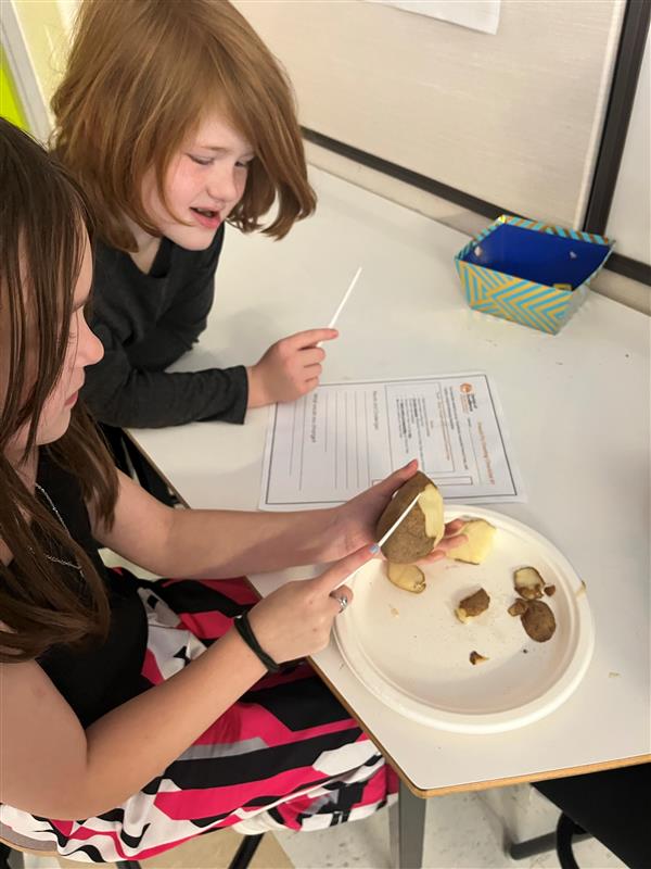 New Brunswick Centres of Excellence (@nbcoe) on Twitter photo #NBCOE for Skilled Trades & Manufacturing, in partnership with <a href="/mccainfoods/">McCain Foods Canada</a> hosted "From Farm to Fry: A Quality Control Experience." Elementary students learned the journey of a potato to crispy McCain French Fries! #experientiallearning <a href="/amytomp/">Amy Tompkins</a> #NBCOE for Skilled Trades & Manufacturing, in partnership with <a href="/mccainfoods/">McCain Foods Canada</a> hosted "From Farm to Fry: A Quality Control Experience." Elementary students learned the journey of a potato to crispy McCain French Fries! #experientiallearning <a href="/amytomp/">Amy Tompkins</a>