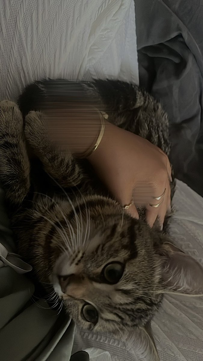 𝐽𝑎𝑠𝑚𝑖𝑛𝑒 ⵣ’ (@ussseer__) on Twitter photo 