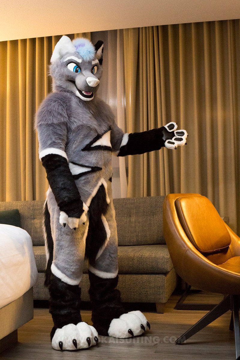 Tokai Suiting tweet media