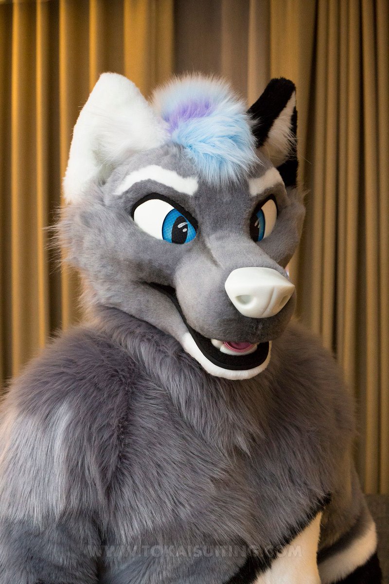 Tokai Suiting tweet media
