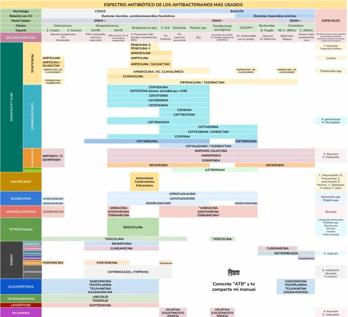 Espectro de acción de los antibióticos que debes recordar: