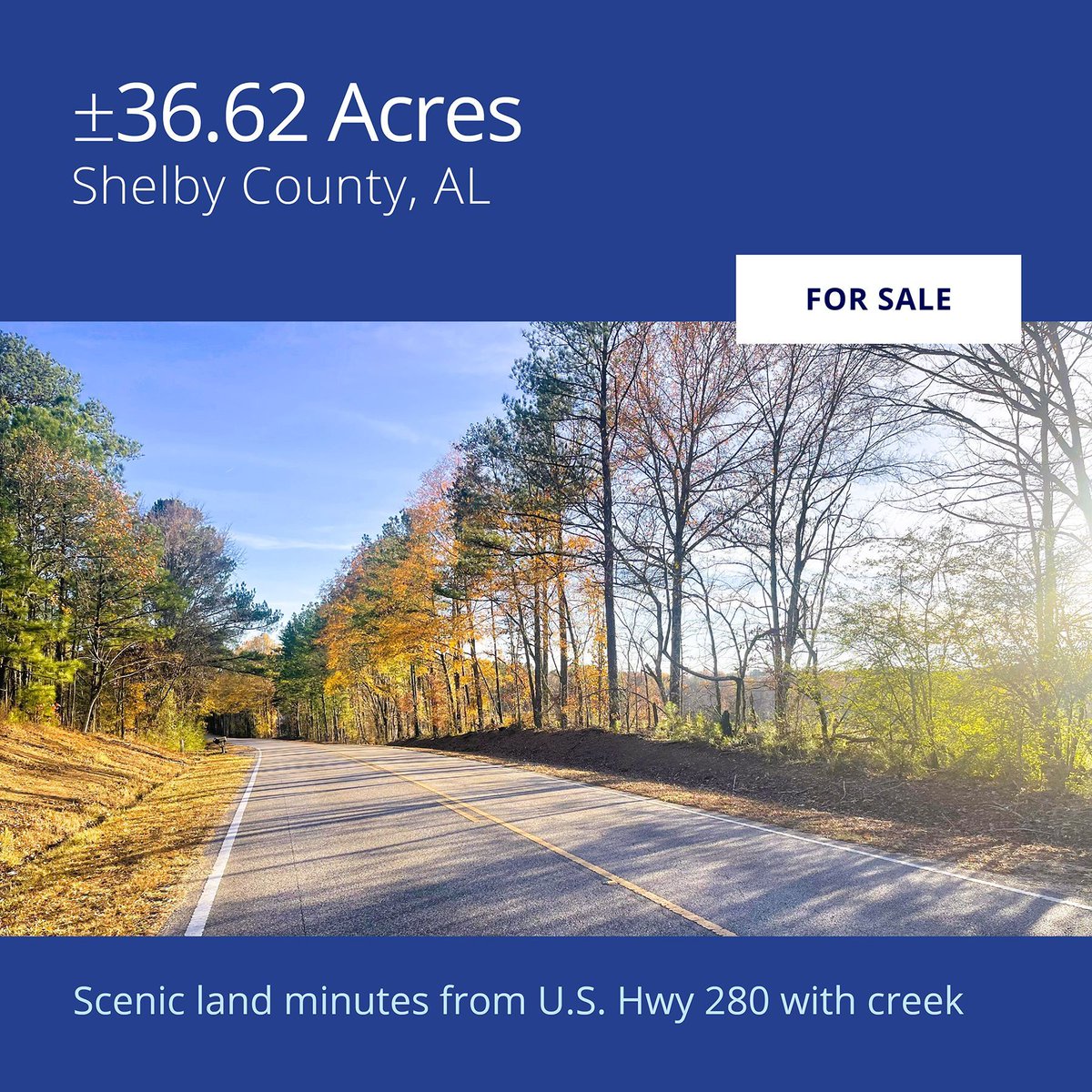 Colliers_AL's tweet image. Discover a serene 36.62-acre property in Shelby County, Alabama! Enjoy peaceful rural living with easy city access. Perfect for a private homesite, mini-farm, or recreation. Contact Lee Gantt for a private showing. buff.ly/3C6Ag1e #AlabamaRealEstate #ShelbyCounty #land