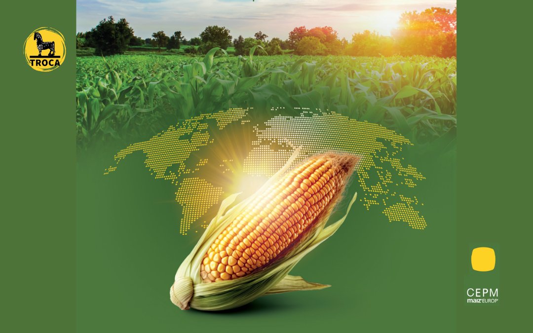 Plataforma TROCA tweet media