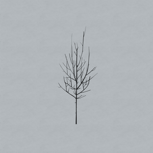 Actuellement sur FREQUENCE MAGIC: What part of me by <a href="/lowtheband/">LOW</a>