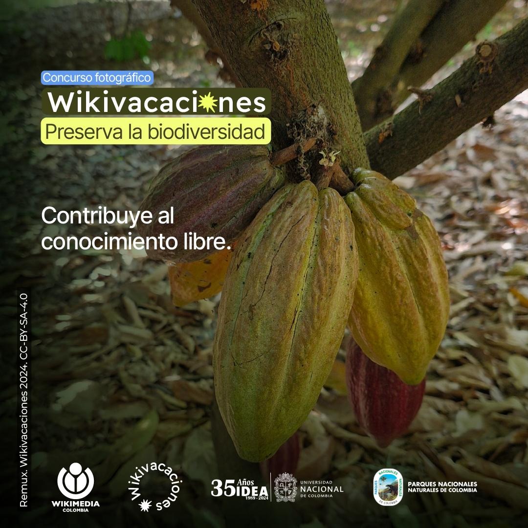 Wikimedia Colombia tweet media