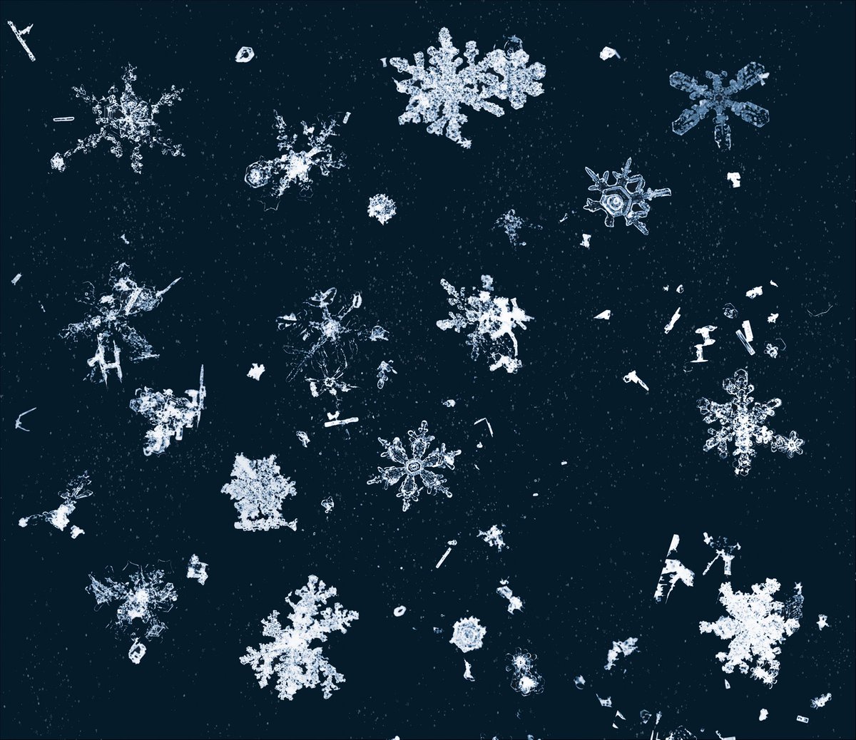 Composite (15 images) of Baton Rouge snowflakes —January 2025

Which snowflake is your favorite? 

#Louisiana #lawx #snowflake