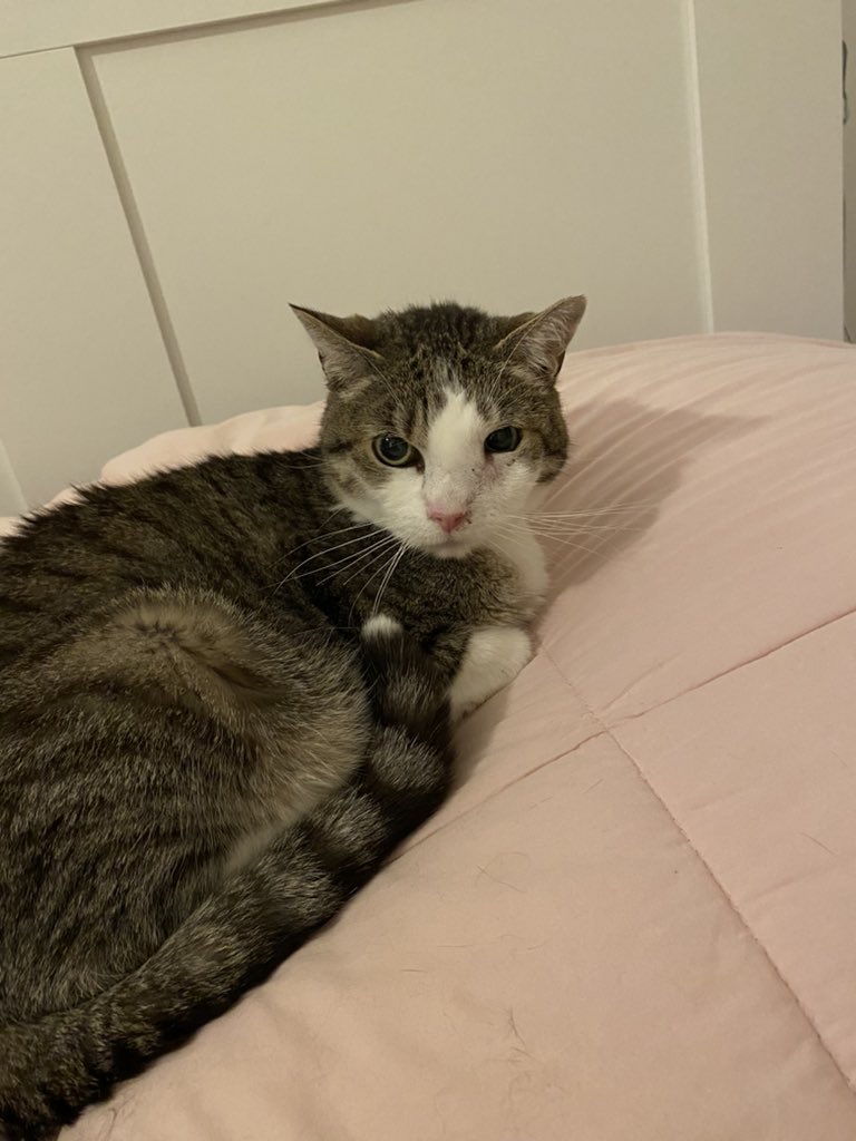 Mirabelle ( Zelie jolie au ciel ❤️🌭 🦜 🌴🧼🍤🧡🎀 tweet media