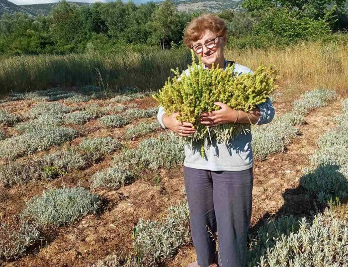 Regenuary &amp; the Impact of our Food Choices🍃
us6.campaign-archive.com/?e=7b9a82bca1&…